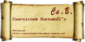 Csernicsek Barnabás névjegykártya