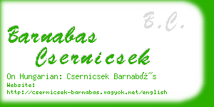 barnabas csernicsek business card